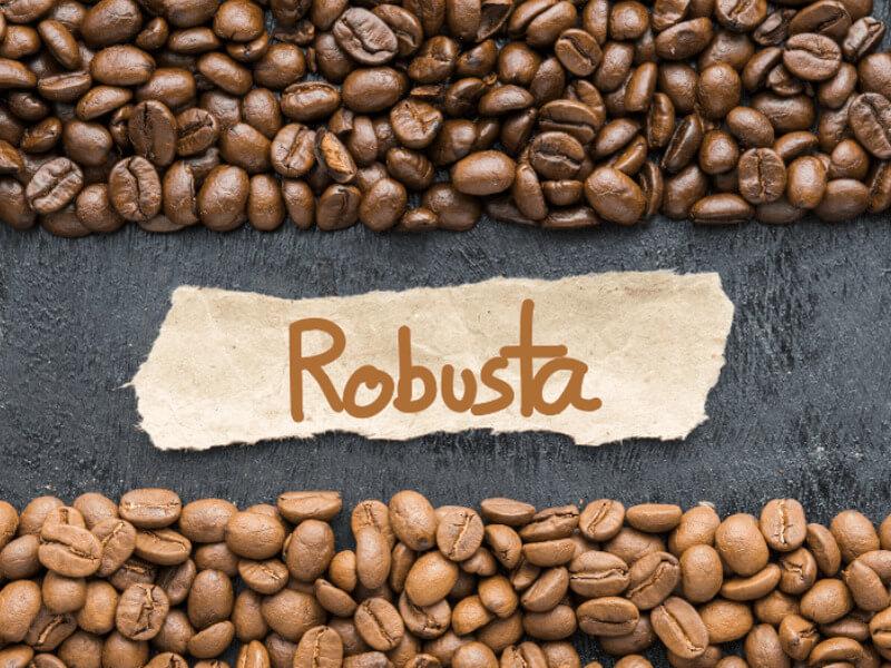 cà phê robusta