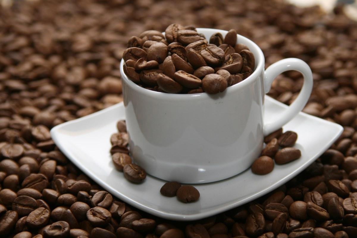 cà phê arabica
