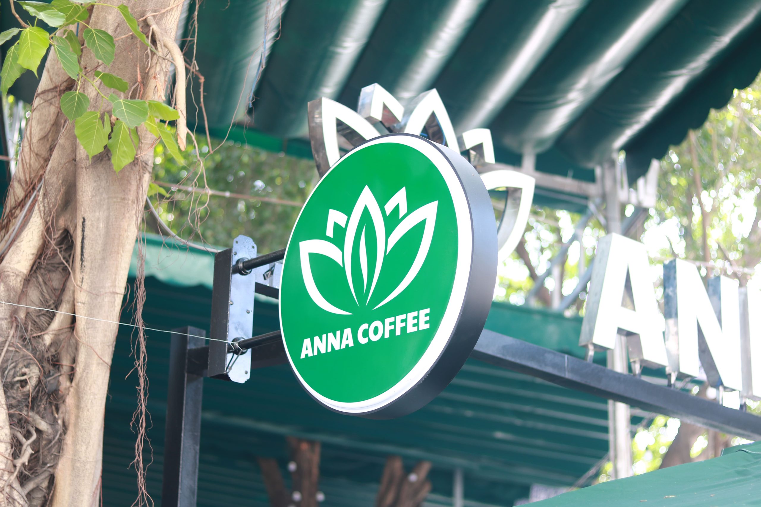 thiết kế thi công quán cafe