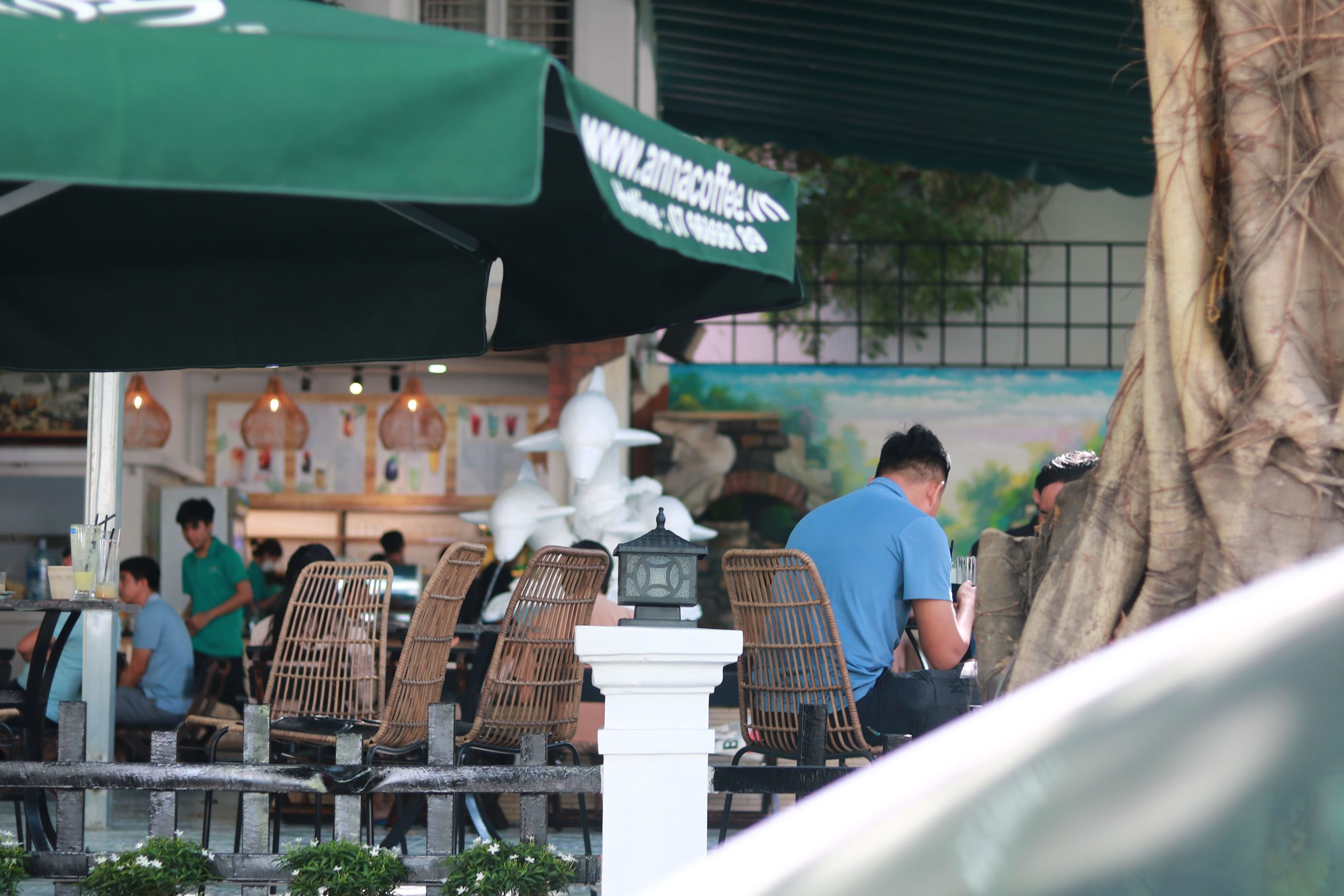 thiết kế thi công quán cafe
