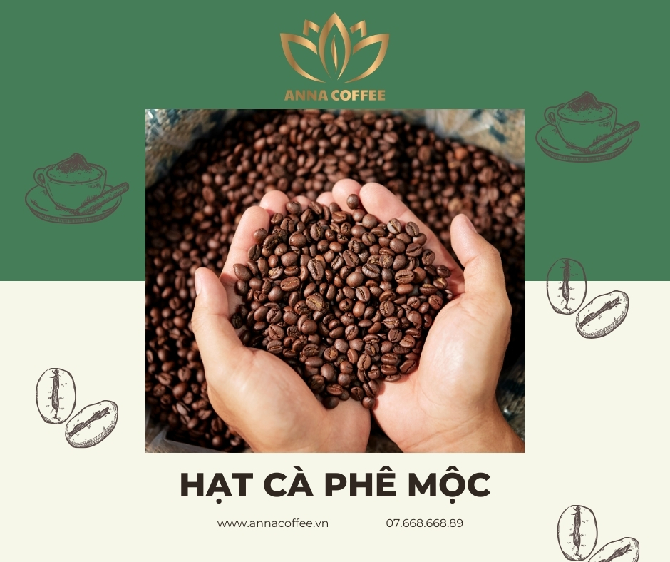 dịch vụ rang xay cà phê