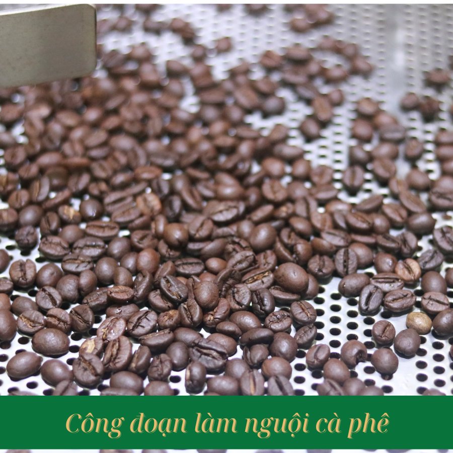 dịch vụ rang xay cà phê