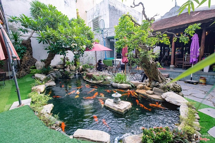 thiết kế quán cà phê cá koi