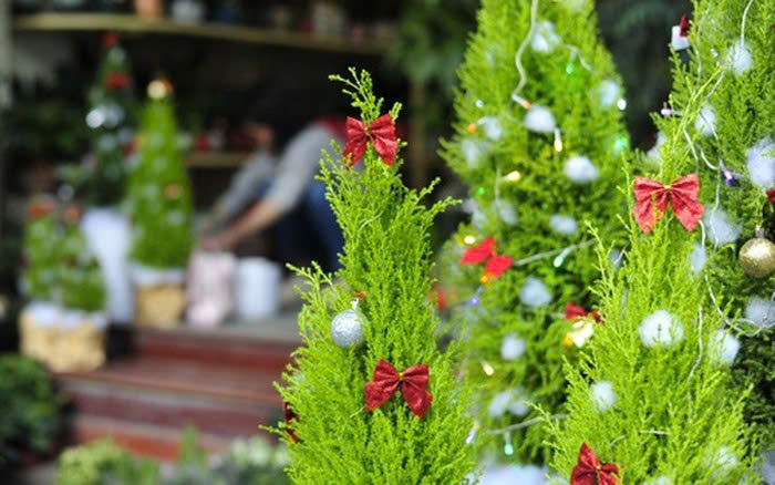 trang trí noel quán cafe