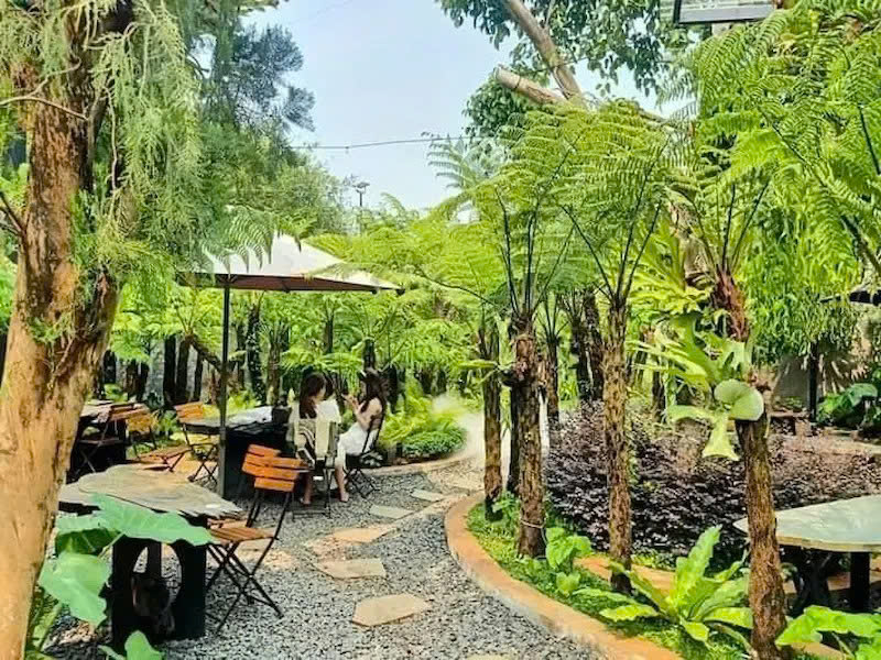 trang trí cây xanh cho quán cafe