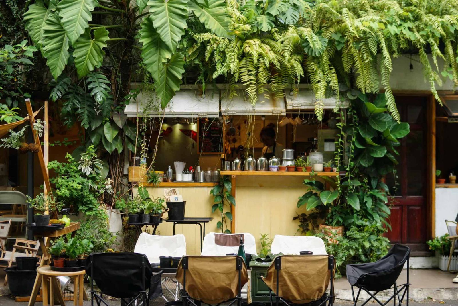 trang trí cây xanh cho quán cafe