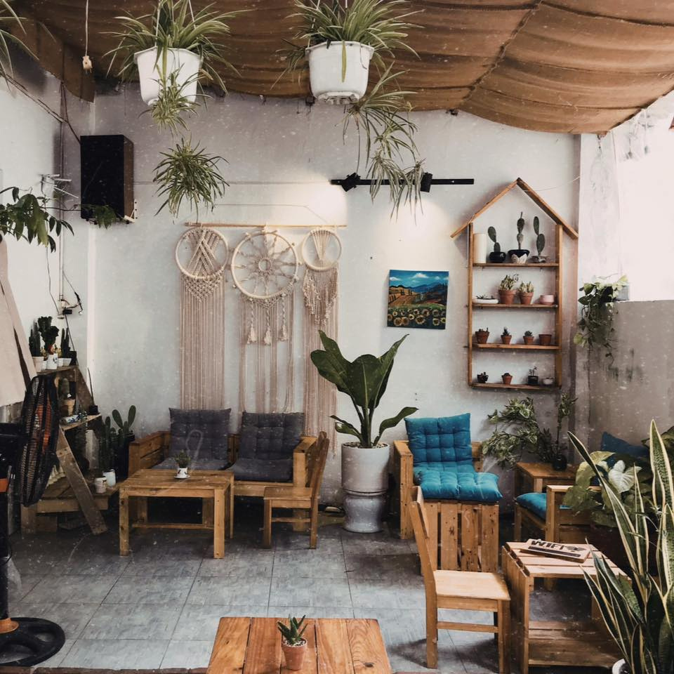 trang trí cây xanh cho quán cafe