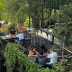 trang trí cây xanh cho quán cafe