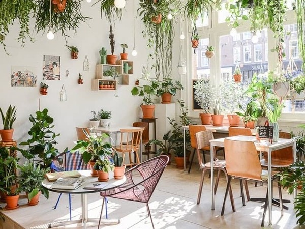 trang trí cây xanh cho quán cafe